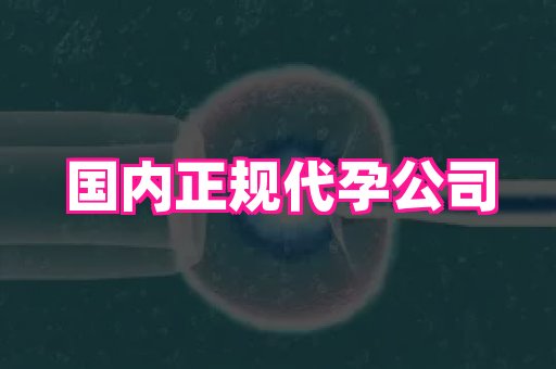 香港助孕网 3